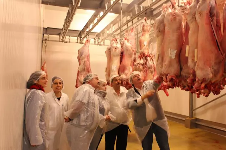 Lors de la visite de l'abattoir.