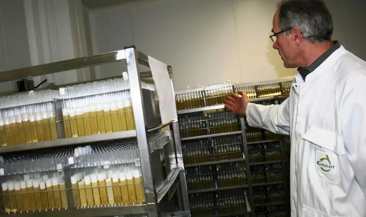 Une semaine d'incubation est nécessaire pour retrouver des traces éventuelles de spores butyriques, problématiques dans la fabrication du fromage. Ils produisent du gaz dont la pression éjecte des bouchons de paraffine placés dans les fioles.