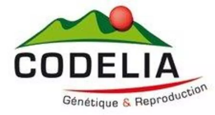 Codélia logo