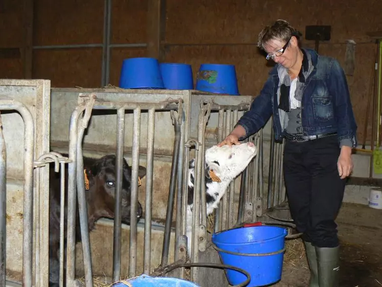 La commission nationale des agricultrices demande un même statut pour tous les exploitants, notamment dans les EARL qui ne bénéficient pas de la même transparence entre associés, ou dans les GAEC quand les associés n’ont pas une part chacun.