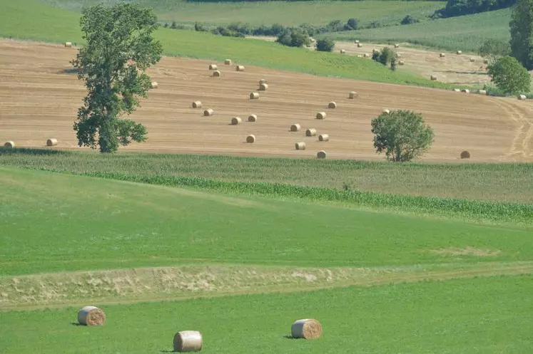 Le schéma directeur régional des exploitations agricoles (SDREA) complète la réglementation nationale.