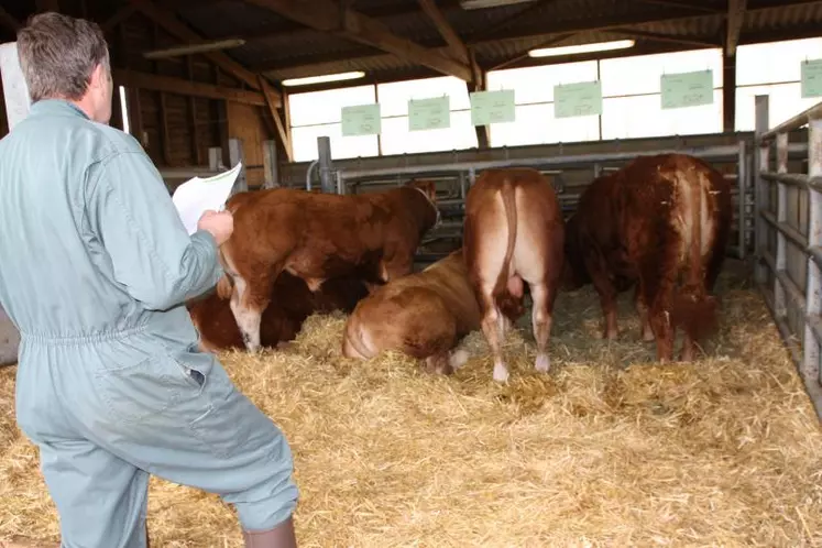 Parmi les éleveurs acheteurs, on trouvait des habitués qui en sont à leur deuxième ou troisième reproducteur achété, lors de ces ventes annuelles.