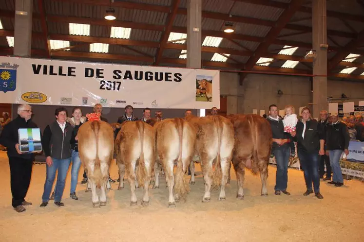 Une présentation très relevée comme ici avec le Prix d’ensemble attribué au Gaec de la Margeride dans le Cantal.