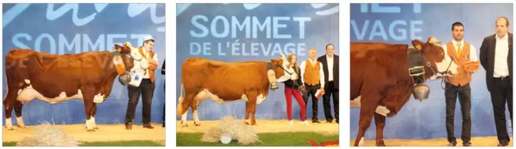 Une belle triplette avec la Championne Adulte, la Championne jeune et la Meilleure Fromagère.