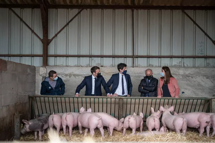 Emmanuel Macron en visite dans une élevage de porcs de Côte d'Or