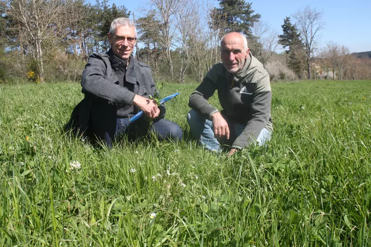 Bruno Ramousse (à droite) et Philippe Halter dans une prairie temporaire de l'exploitation semée en trèfles  et luzerne. dactyle et Ray Grass.