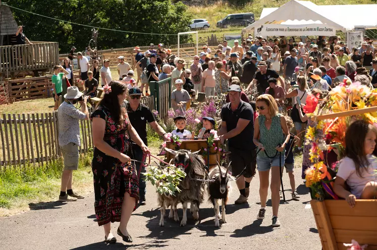 Une belle fête se prépare à Saint-Front autour de la chèvre du Massif-Central.