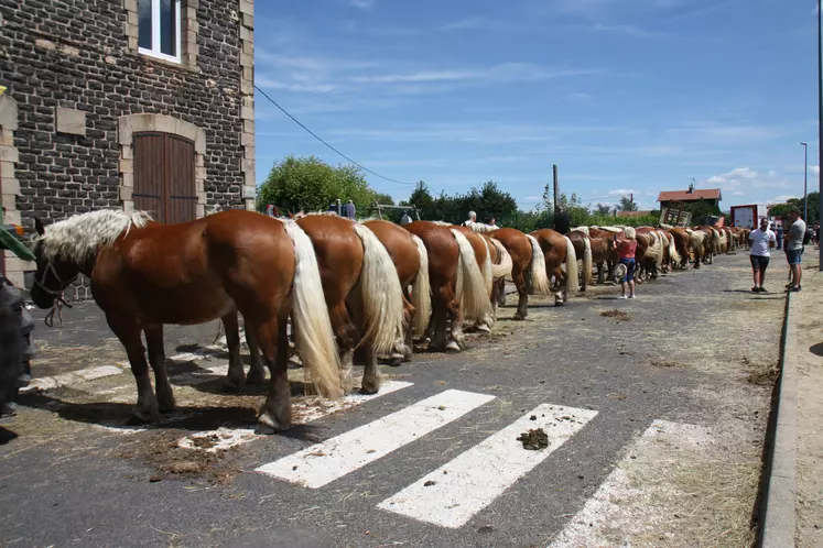 Le concours se tiendra autour de la salle polyvalente de Solignac sur Loire, de 9h à 17h, grâce à l’aide de la mairie de solignac et de Solignac Animations, le Conseil départemental, la communauté d’agglo du Puy, la Région, Groupama et Euréa.