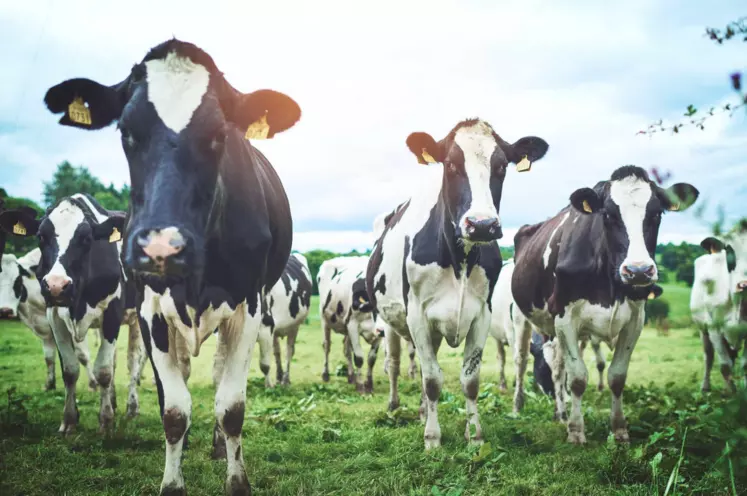« Nous voulons une PAC de production pour assurer la souveraineté alimentaire de la France et de l’Union européenne », a déclaré Patrice Remaud, administrateur de la FNPL.