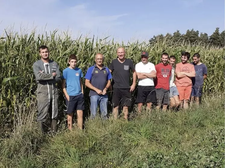 Le maïs ensilage monte en altitude, ici à Saugues.