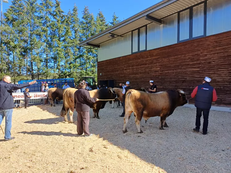 Des bovins de qualité dans les 4 races très applaudis par le public durant deux jours.