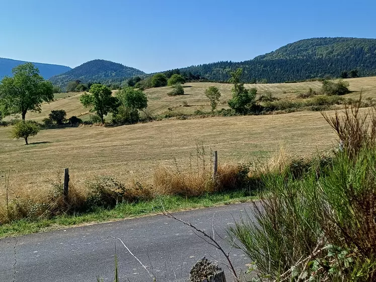 Plus de 90% de notre territoire est en zone rurale.