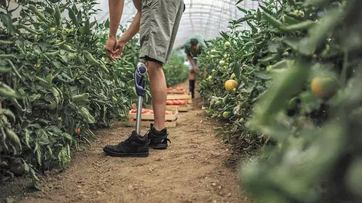 Travailleur handicapé dans une serre.