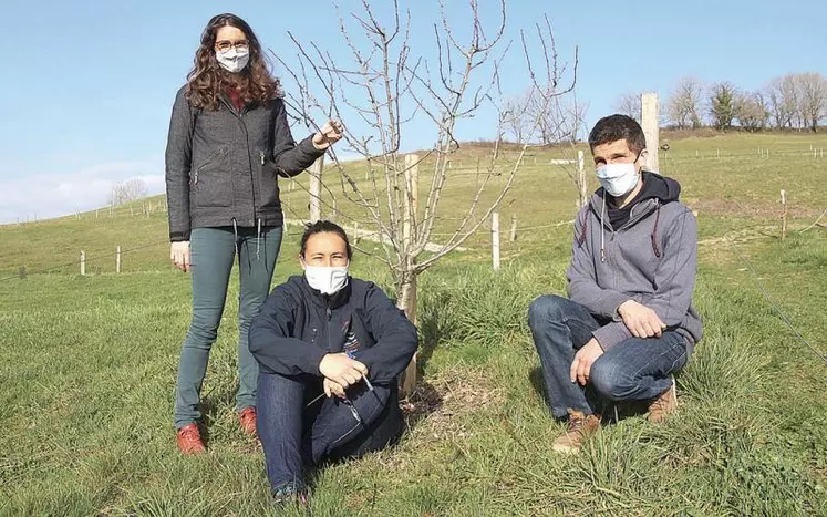 Lise Fabries, Pauline Herbemont et Simon Lacalmontie sur le "chemin des élèves" du lycée agricole, déjà bordé de jeunes arbres fruitiers.