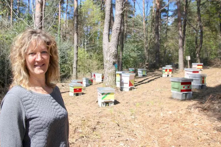 L’apicultrice dans un de ses ruchers, sur les hauteurs de la commune de Rouffiac (canton de Saint-Paul-des-Landes). 