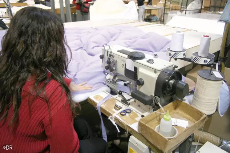 Les salariés d’Abeil sont inquiets car ils ne savent pas combien d’emplois seront sauvés. (Photo d’archives)