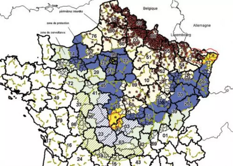 La fièvre catarrhale progresse inexorablement du Nord-ouest vers le Sud de la France. Le nombre de cas a doublé en une semaine.