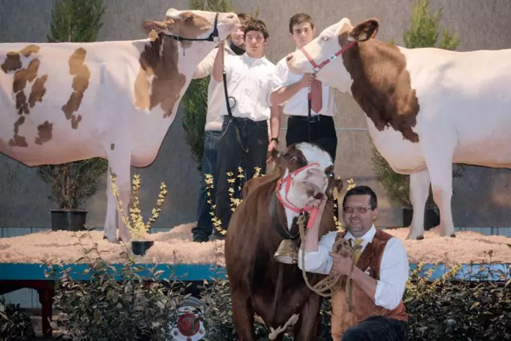 Prim’holsteins, montbéliardes et abondances ont concouru pour les Miss laitières 2009.