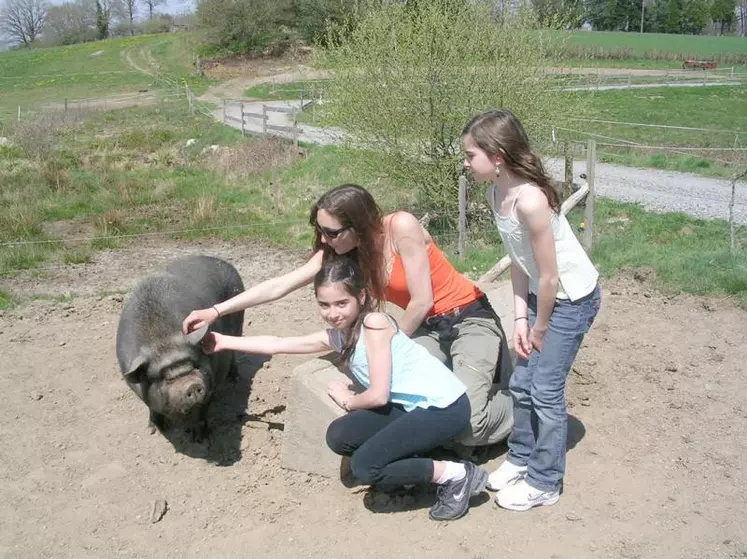 Les enfants peuvent profiter de Dora, un cochon vietnamien, mascotte de la ferme.