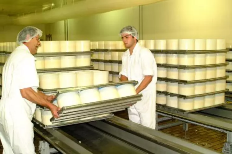Environ 6 200 tonnes de bleu d’Auvergne sont produites chaque année par huit fabricants (ici LFO Saint-Flour).