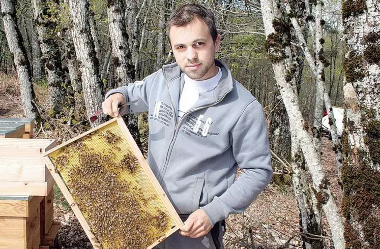 À 24 ans, Laurent Chateau exploite déjà près de 200 ruches.