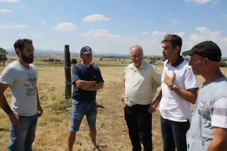 Liozargues : des paysages désolés à perte de vue avec un or vert devenu jaune, mais sans valeur celui-ci...