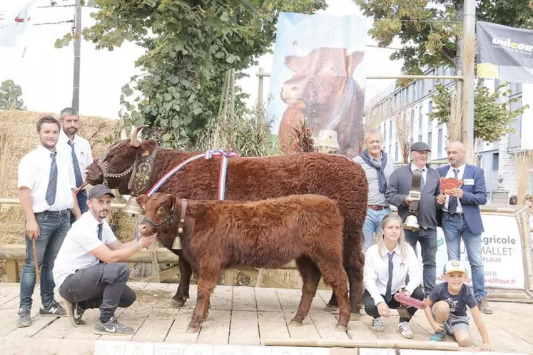 Le Gaec Malacan réalise le grand chelem : prix de championnat femelle jeune, prix de championnat femelle adulte ici avec Natacha et prix d'honneur.