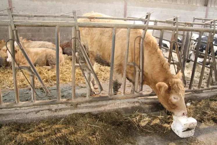 L’association attend un engagement ferme de l’ensemble des acteurs de la filière sur une grille de prix et une visibilité à moyen terme.