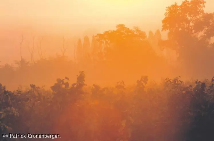 Beaucoup d’incertitudes et de questions entourent encore les problématiques concernant le réchauffement climatique.