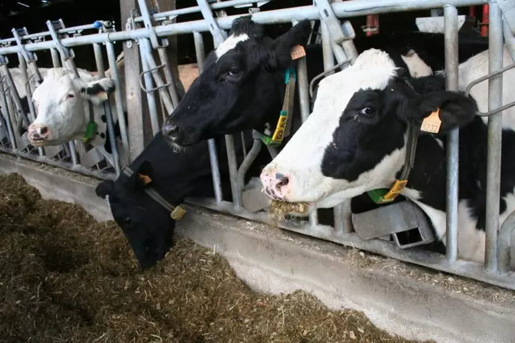 Avec un prix du lait de base qui a plongé sous les 300 €/T, la production laitière est la première impactée.
