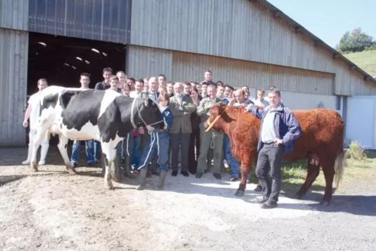 Au lycée agricole, des salers seront coupées du système allaitant. Elles naîtront et seront élevées dans le troupeau laitier.