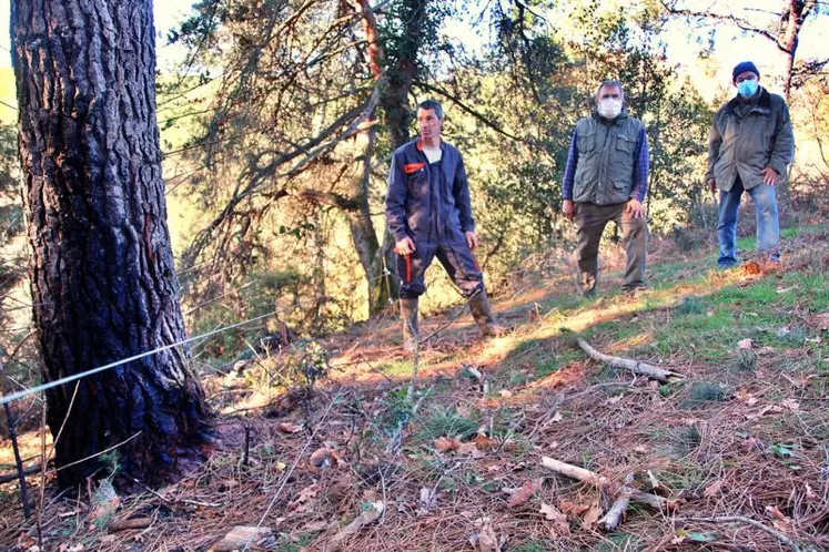 À Leynhac, on estime avoir eu de la chance après avoir maîtrisé un départ de feu lié à la foudre. Mais que ce serait-il passé en pleine forêt ? 