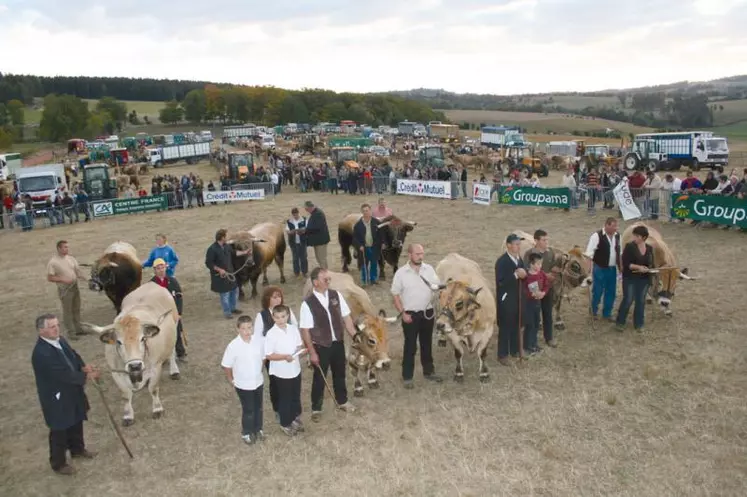 Les plus beaux animaux du concours au 1er plan et de gauche à droite : “Nippone” (M. Protet) ; “Ukraine” (M. Bertrand) ; “Lauréate” (Gaec Raynal) ; “Rebille” (Gaec Guibal), “Bohème” (Earl Raynal). Au 2nd plan : “Virenque” (M. Poudevigne) ; “Urbain” (Gaec des Chazettes) et “Obélix” (Gaec Guibal).