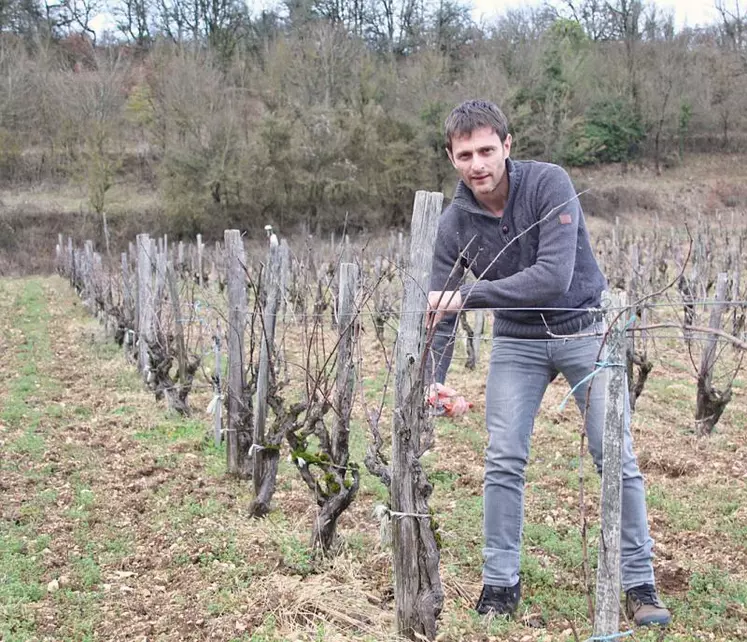 Sébastien Lavaurs dans les vignes de Montmurat qu’il élève patiemment, en attendant une première vendange en 2020 et le cru 2021. 