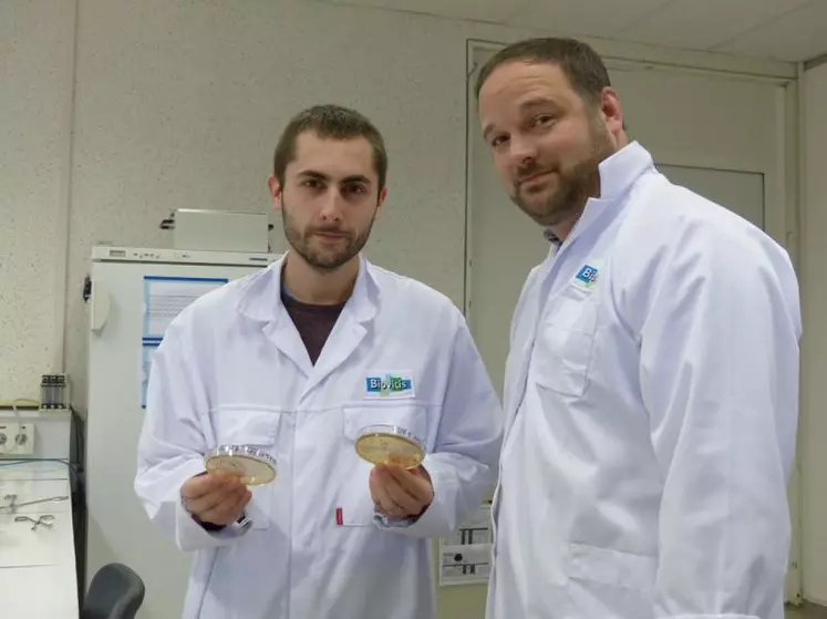 Jean-Philippe Fayol, directeur opérationnel de Biovitis, et Benjamin Chicot, responsable agroalimentaire. Saint-Étienne-de-Chomeil vise la certification Iso 22 000 en agronomie.