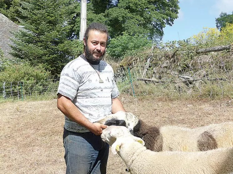 Dimanche 7 août, Loïc Défossez participera au spécial limousin en race ovine. Il y présentera un bélier ainsi que trois brebis adultes pour montrer les produits de son élevage.