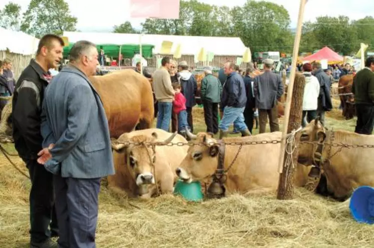 Un concours de haut niveau, un public nombreux : le comice des 3-Cantons est en pleine forme !