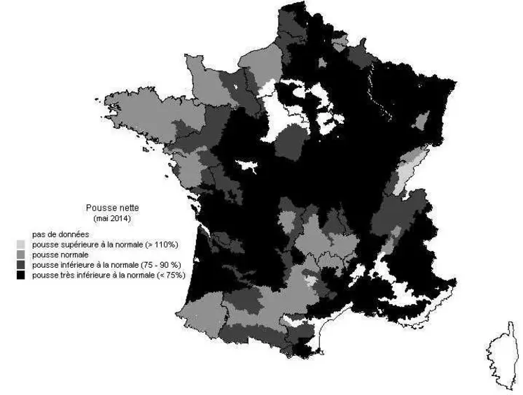 Pousse nette en mai par rapport à la pousse nette de référence