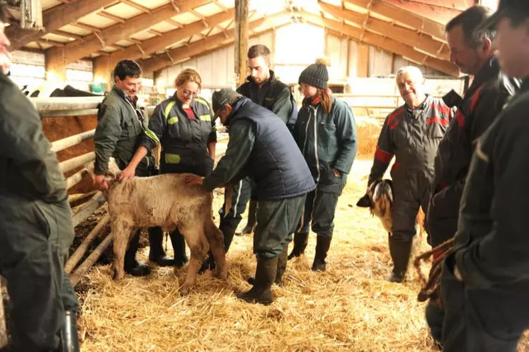 L’objectif de l’intervenant : rendre les éleveurs autonomes avec la santé de leurs animaux.