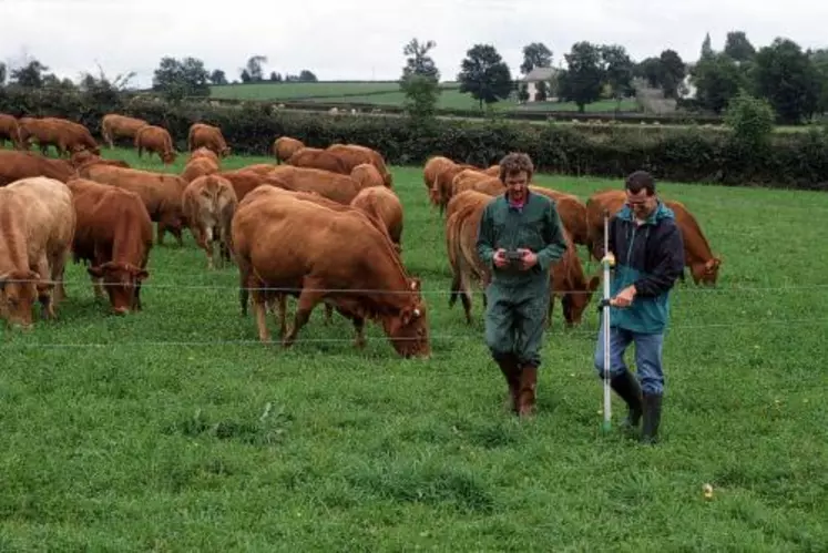 Le Cantal est le premier département français bénéficiaire de la prime à l’herbe.