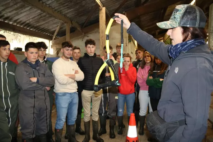 De l'importance de répondre aux besoins de grattage, machouillage, découverte des veaux en parcs,
expliquée par Pauline Garcia, pendule maison confectionné avec des manchons de trayeuse.