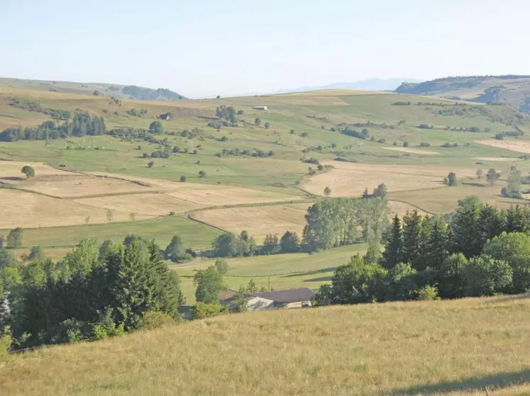 Le marché de l’espace rural en repli de 22 816 hectares en Auvergne en 2012.