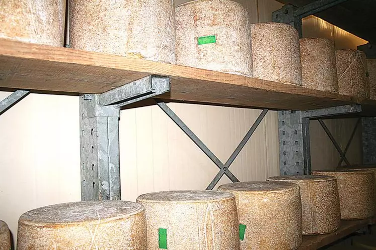 Cantal : un fromage de garde qui attend d’être écoulé...