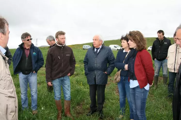 Visite dans les prés où le campagnol règne toujours en maître.