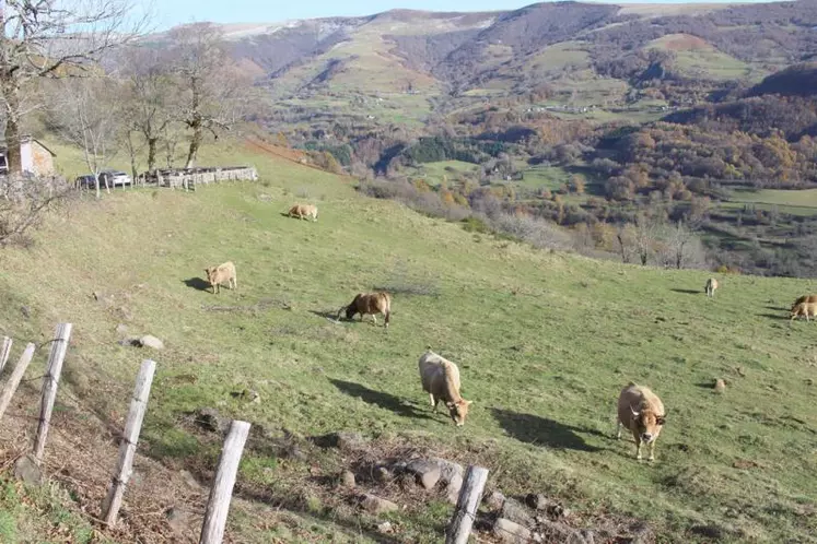 En moyenne chaque année, 3000ha de SAUsont mis en vente dans le Cantal, un “petit marché”.