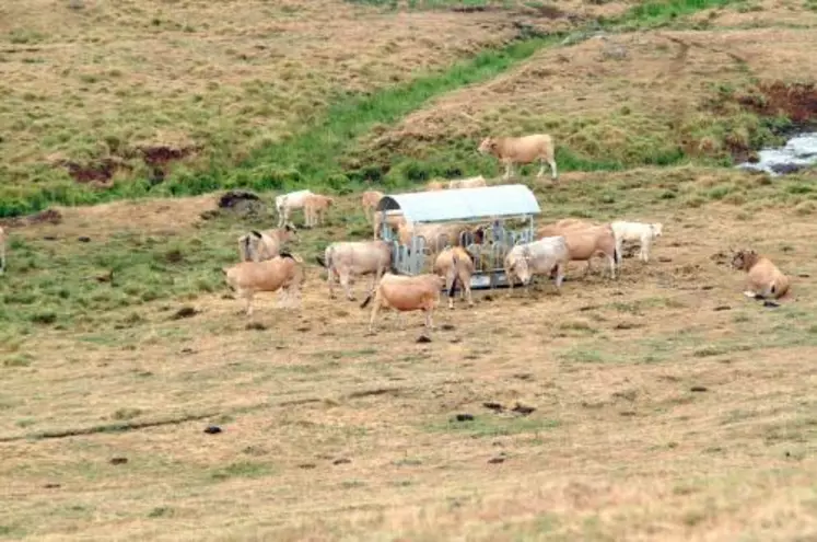 Patrick Bénezit avec les éleveurs de l’Aubrac, un secteur où il manque jusqu’à 70 % de récolte.