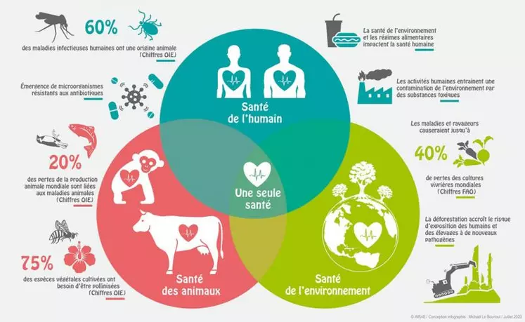 Le concept One ealth : santés humaine, animale et environnement intimement liés.