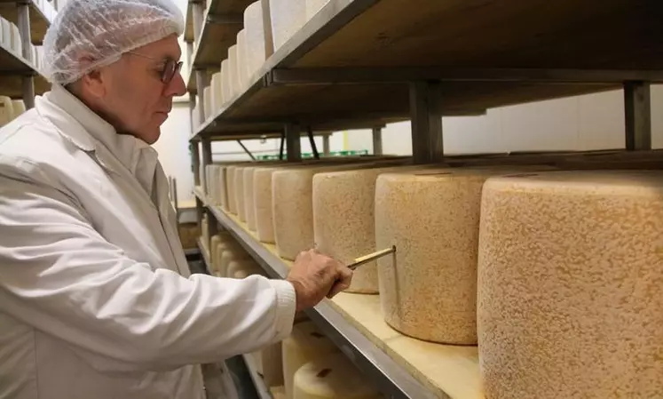 Michel Margot commence par l'évaluation des fromages les plus doux (jeunes) et terminent par les plus affirmés (salers).