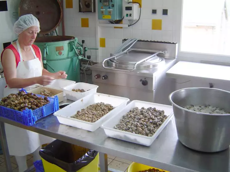 Nicole Boulet, 18 ans d’escargots à Massiac, pari réussi !