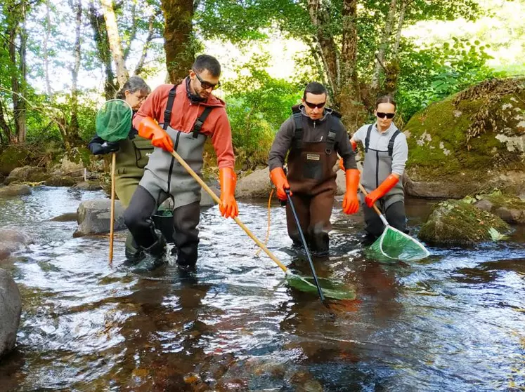 Chaque année, ce sont près de 80 pêches électriques qui servent à l’inventaire des populations de truites dans le Cantal.